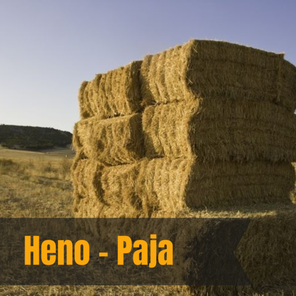 Fardos de alfalfa